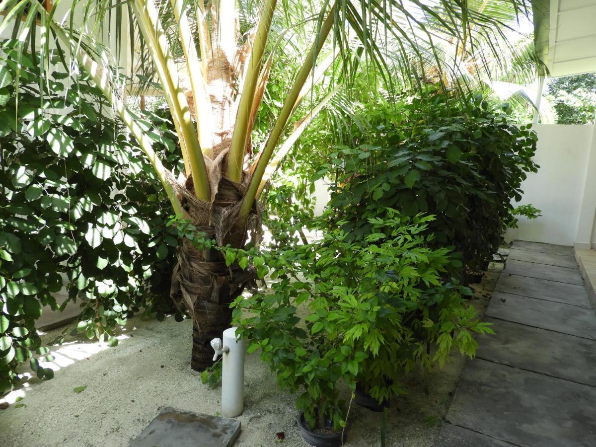Karaa Village Thoddoo Buitenkant foto