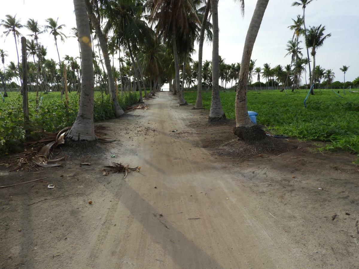 Karaa Village Thoddoo Buitenkant foto